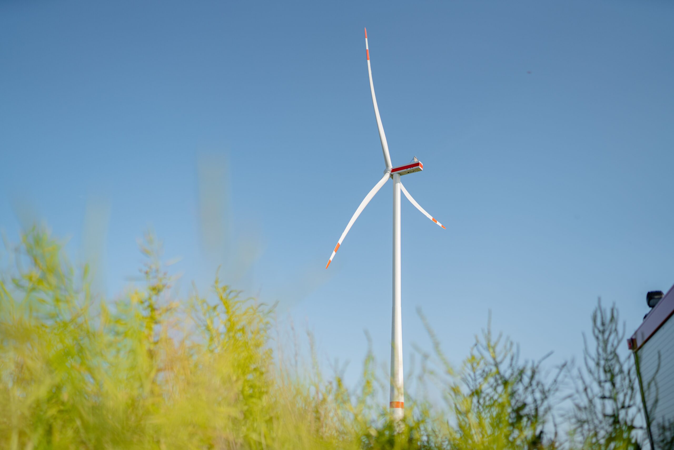 Naturbild Windenergieanlage_1